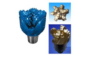 银杏视频www网在线观看免费版机械