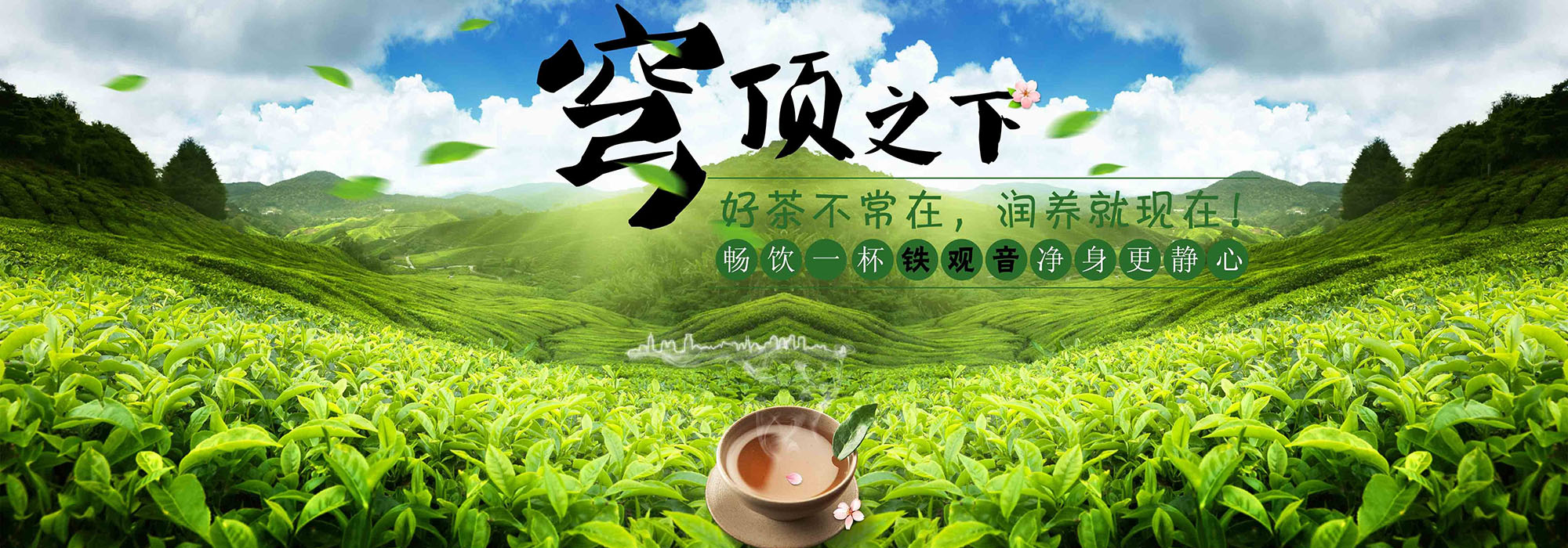 河南永智茶叶有限公司